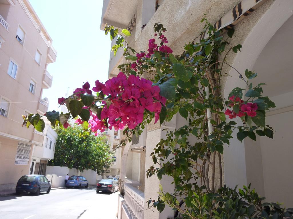 The Cozy Apartment Torrevieja Ngoại thất bức ảnh
